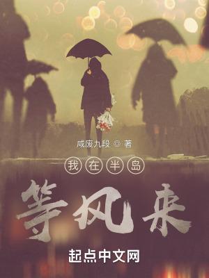 我在等风也等你出自哪里