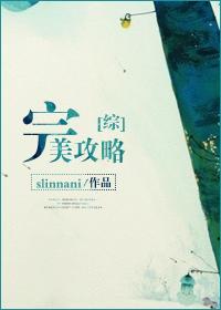 综完美攻略第二部