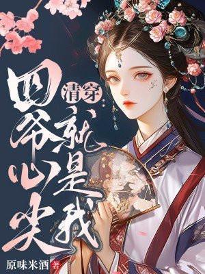 清穿四爷心尖宠全文阅读